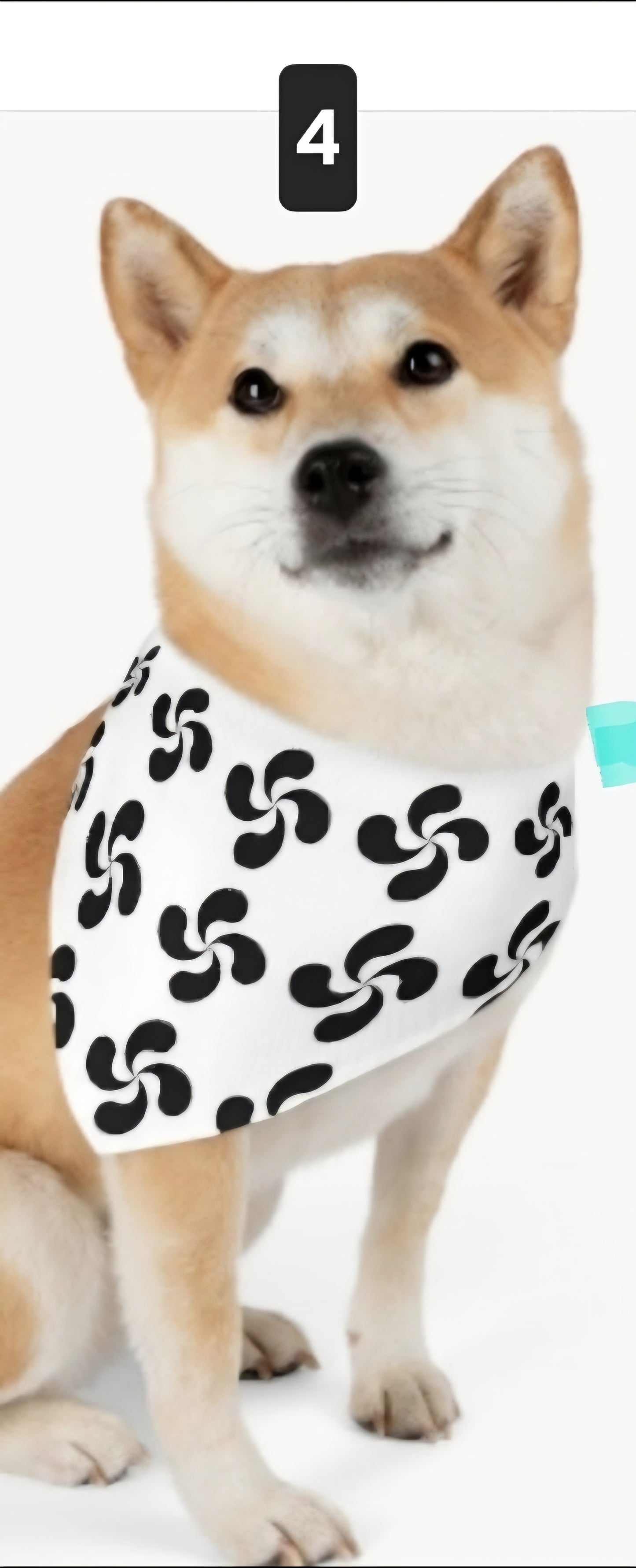 Lauburu Dog Collar