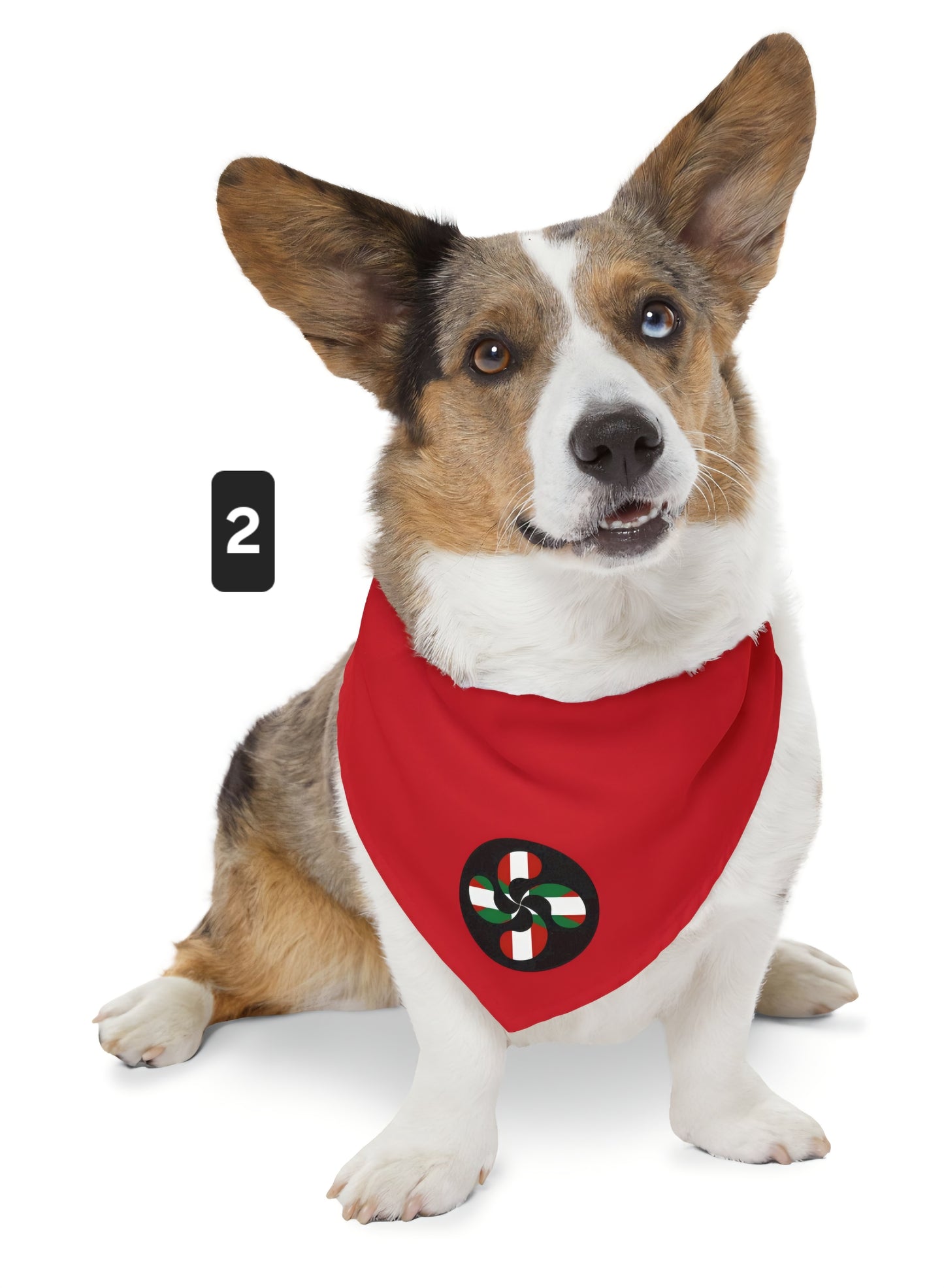 Lauburu Dog Collar
