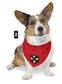Lauburu Dog Collar